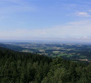 Wald Wipfel Weg mit Erlebnispfad in Sankt Englmar