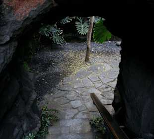 Fundacion Cesar Manrique