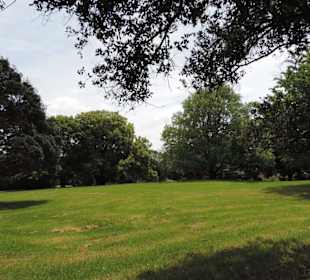 Im Western Springs Park