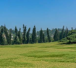 Botanischer Garten Kandy