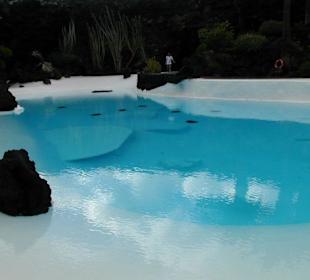 Pool, Jameos del Agua