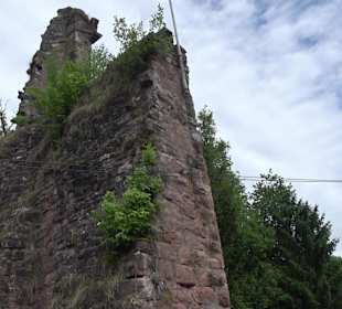 Burgruine Sterneck