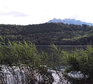 Rund um den Levico See