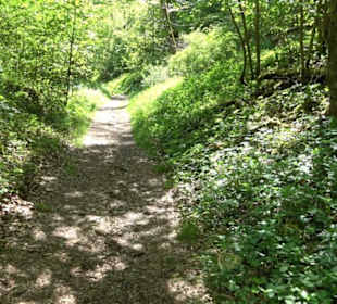 Premiumwanderweg Hochgehschätzt