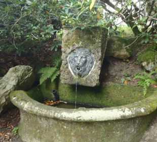 Zámek Kynžvart - zahrada