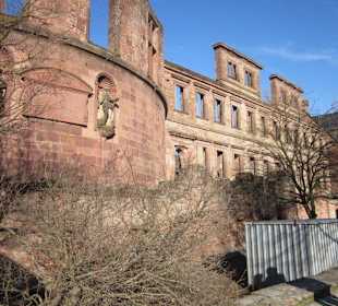 Das Heidelberger Schloss