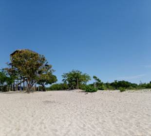 Bahia de las Aguilas