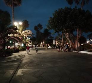 Strandpromenade Avenida de Cristobal de Colón