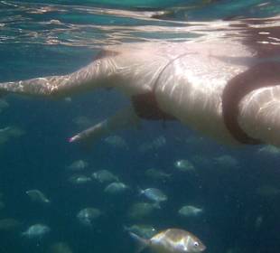 Unterwasserwelt am Strand