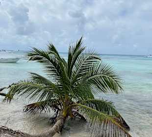 Insel Saona