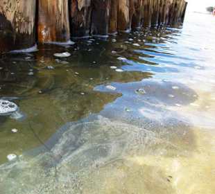 Ende September 2010 Inspirationen