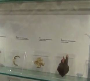 Museum für Stadtgeschichte Alpirsbach