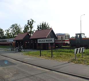 Stacja Milicz wąskotorowa