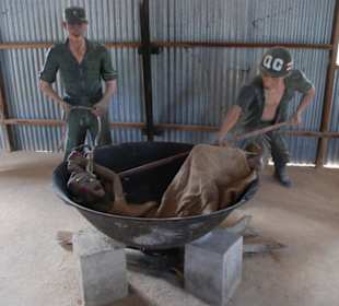 Das Kokosnuss Gefängnis