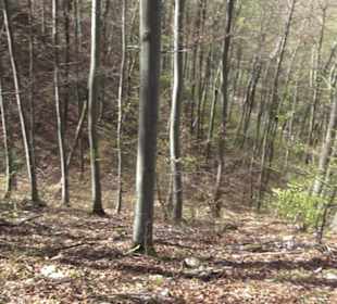 Wanderweg Hochgehkämpft