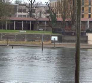 Rheinstrandbad