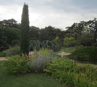 Ботанический сад