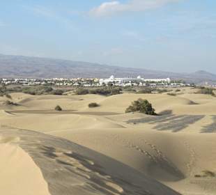Dunas de Maspalomas