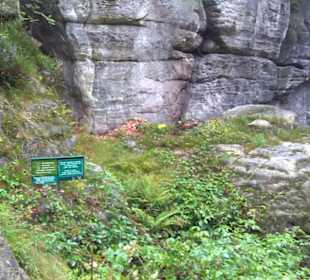 Felsenburg Neurathen