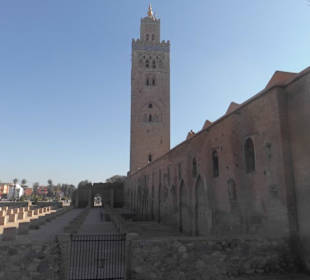 Leider nicht viel zusehen.