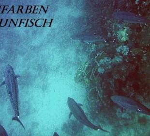 Thunfische