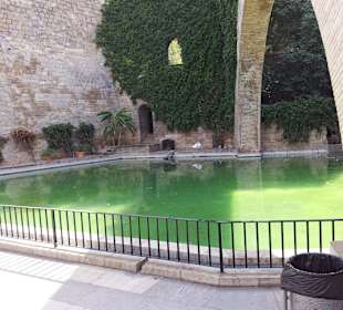 Unterhalb der Gärten bei der Kathredale Palma 