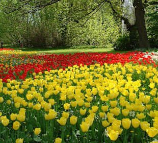 Осторов майнау