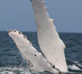 Unsere Waltour mit Frank