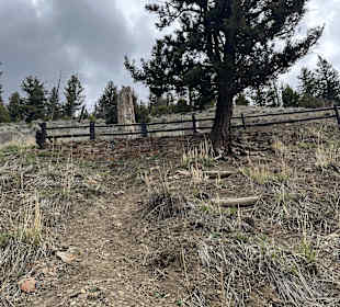 Yellowstone Nationalpark