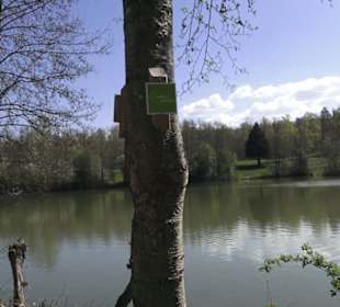 Sport- und Freizeitpark Markwasen