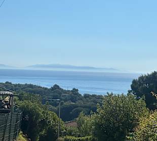 Ausblick