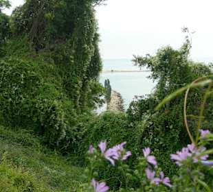 Ausblick Delfinarium in Varna im Park