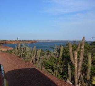 Isla de Coche