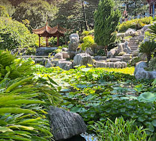 Impressionen aus dem chinesischen Garten