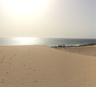 Panorama in den Dünen