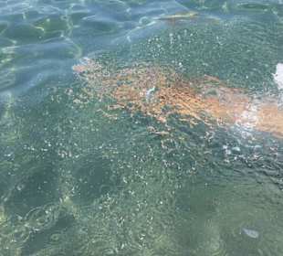 Strahlend blaues Wasser