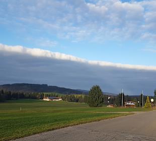 Zufahrt Richtung Alm