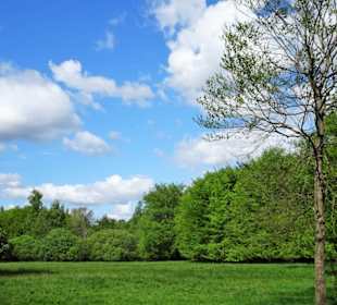 Eindrücke aus dem Stadtwald Oldenburg