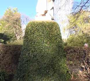 Real Jardín Botánico de Madrid