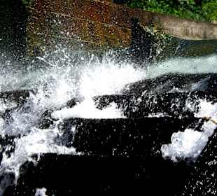 Wasserrad 