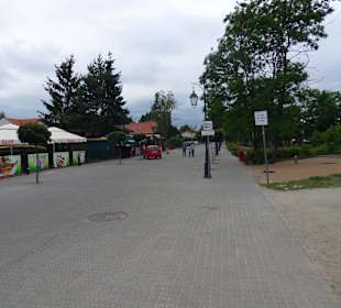 Deptak koło tężni