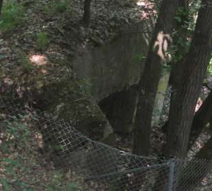 Westwallweg Oberotterbach