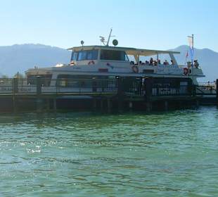 Rundfahrten auf dem Hallstättersee, Traunsee, Wolf