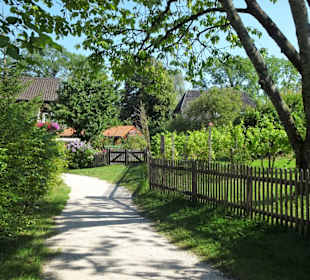 Morgenspaziergang über die Fraueninsel