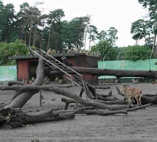 Serengeti Park Hodenhagen