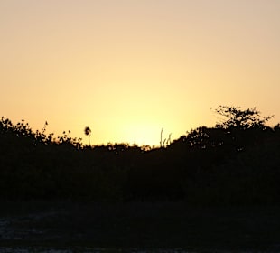 Strand Playa del Carmen