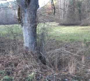 Schönbuch Schaichtal