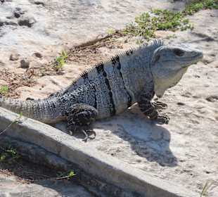 Ruinen von Tulum