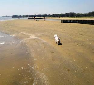 Strand in Bibione Juni 2012