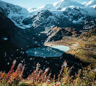 Wanderung Große Schedegg